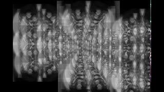 Fractals In The Fourth Dimension