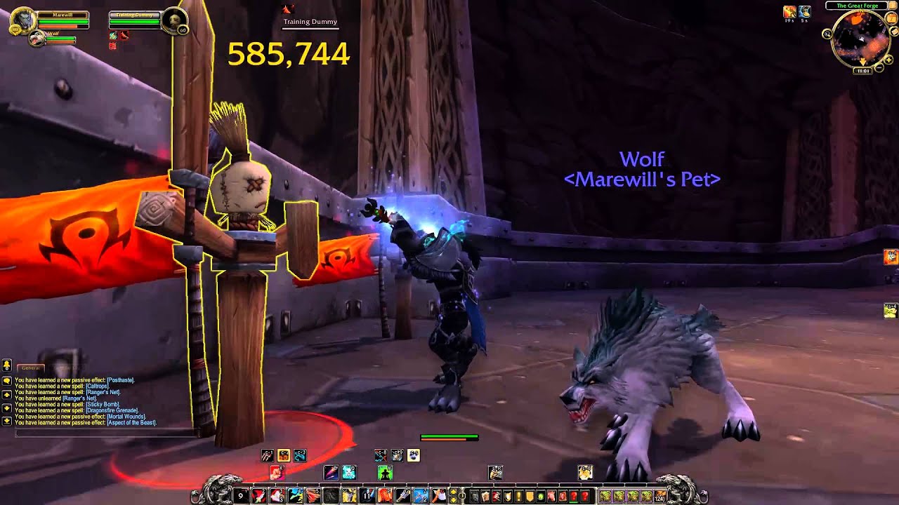 pic Worgen Survival Hunter wow legion alpha worgen survival hunter