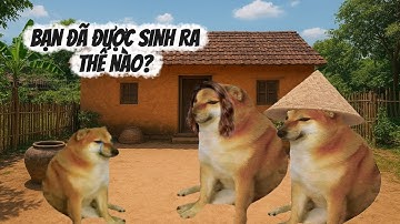 Ding Ding memes: bạn đã được sinh ra thế nào?