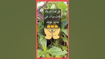 قل هذا الدعاء ثلاث مرات في بداية يومك🤲 دعاء رائع جداً💚 حالات واتس🤲 أذكار الصباح🤲 #دعاء_الرزق #دعاء