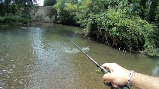 Pêche aux leurres en light (Brochet, Perche, Chevesne, Surprises), dans l'Eure et la Voise