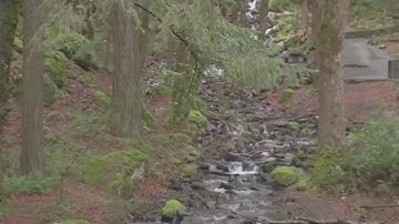 Search and rescuers urge fall hikers to prepare for cold, snow on Oregon trails