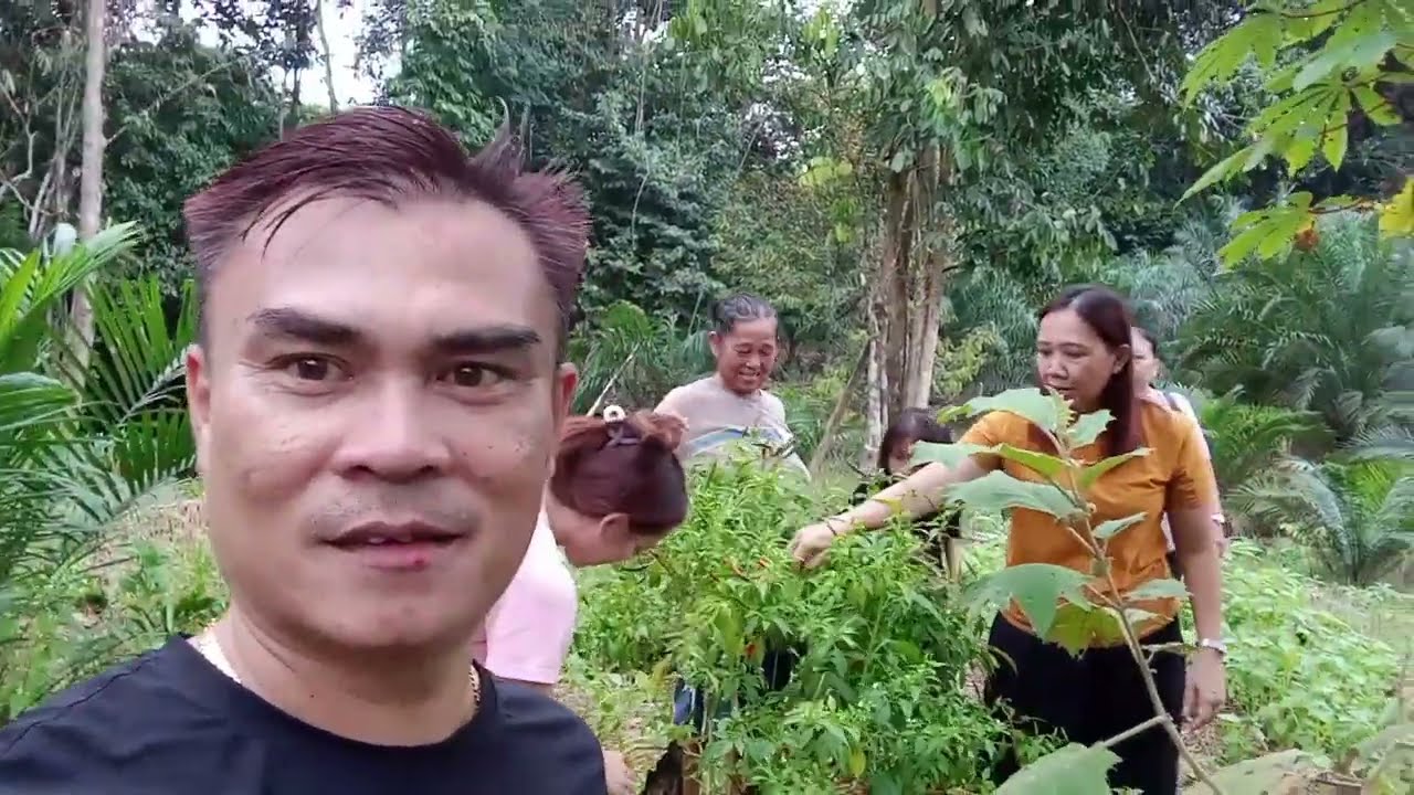 Pergi Kebun Dulu Sebelum Mandi Di Sungai Melurun Entabai Julau Bestnye...