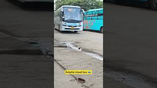 dolphin travel bus 🚌 1584 #shortfeeds #travel #driver #coach #viral #ytshorts #shorts #travelblog