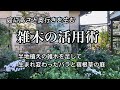 【半地植えにした雑木で庭に高さと奥行きを出すリニューアル】雑木を半地植えにする方法/ガーデニング/半地植えの庭
