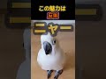 一度見たら抜け出せない。