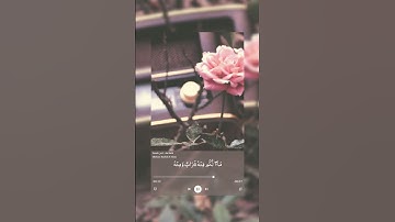 سورة النحل:١٠ #اكسبلور #المصحف #حالات_واتس #تيك_توك #دويتو #الرحمن