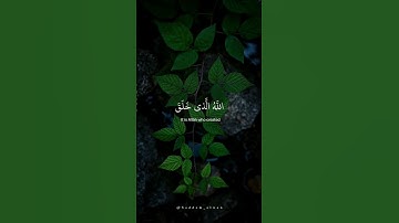 أجمل تلاوات قرآن بصوت القارئ #عبدالرحمن_مسعد .. سورة السجدة #quran #ستوريات #قران_كريم