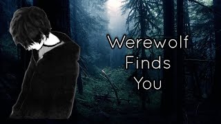Male Werewolf Finds You Part 3 ~ ASMR Audio Roleplay [M4A]