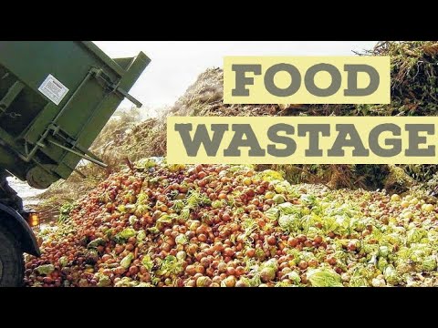 Food wastage - YouTube