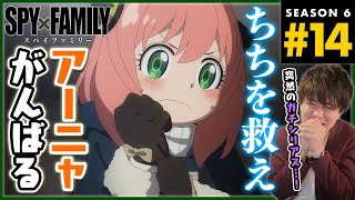SPY×FAMILY 同時視聴