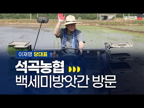 🌾<strong>벼</strong> 베러 왔습니다!🌾 석곡농협 백세미방앗간 방문 생중계 - 이재명 당대표