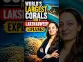 What are Potato Patch Corals Found in Lakshadweep? Explained