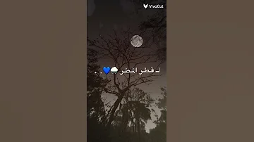 كشوق الليالي لضوء القمر 