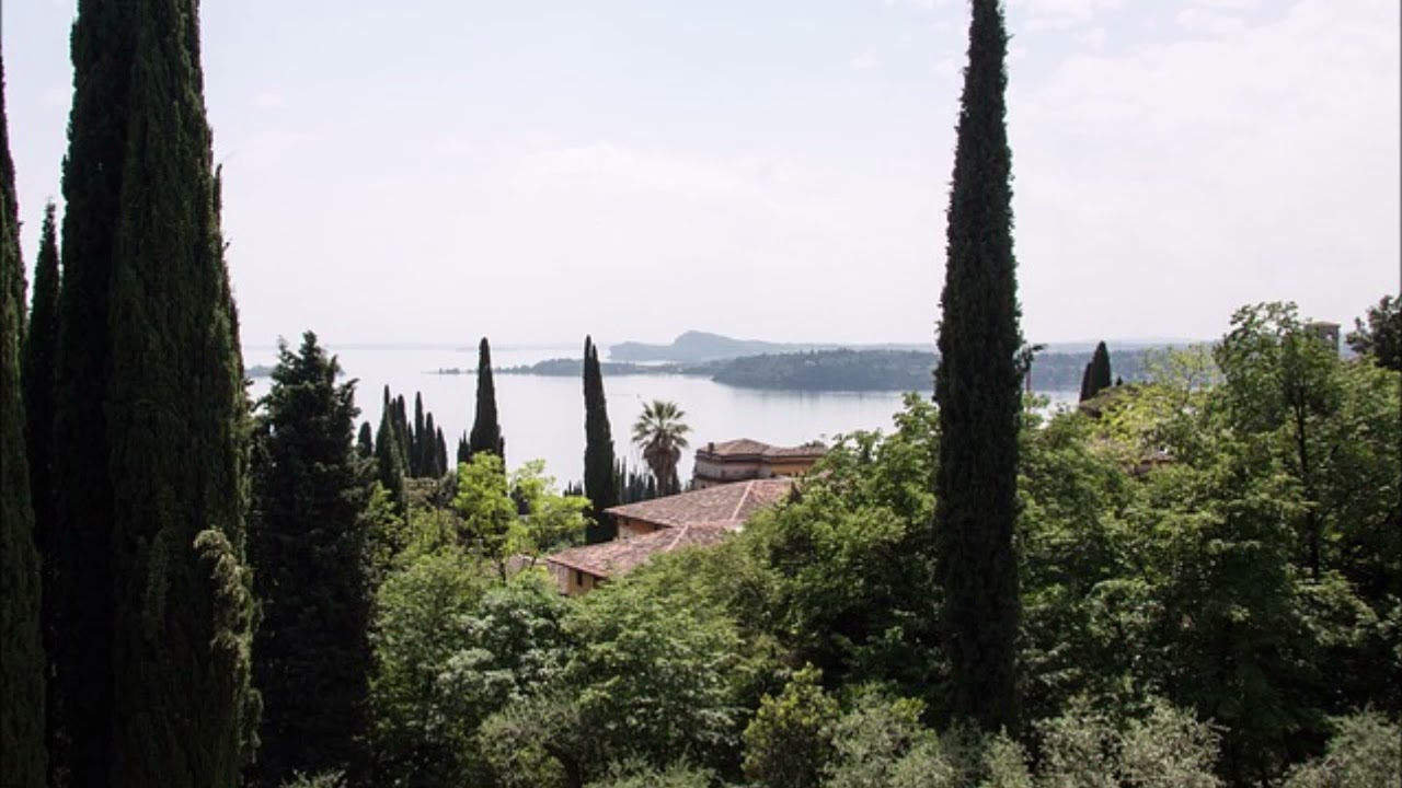 The Italian Cypress trees are a symbol of   Tuscany     But are a zone 7 Tree