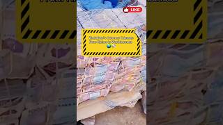 Zimbabwe’s Currency Odyssey: From Riches to Worthlessness 🌍💸