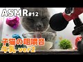【ASMR】仔猫の牛乳モッパンver2(咀嚼音)#12