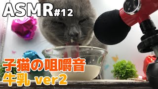 【ASMR】仔猫の牛乳モッパンver2(咀嚼音)#12