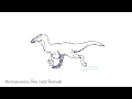 2D Dinosaur run cycle animation (with process)(Flipaclip)