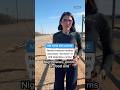 Newly-released mother describes 'torment' in ICE detention center