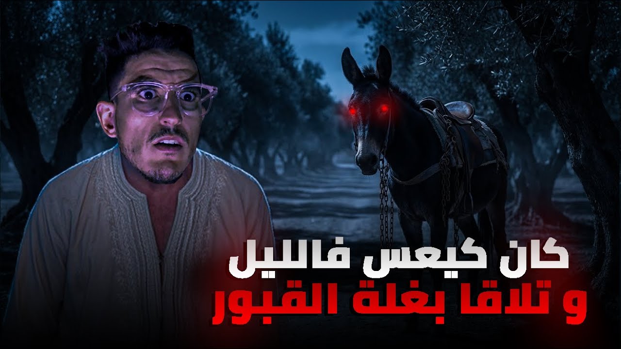 Он наблюдал за происходящим ночью, когда к нему вышел мул, служивший могильщиком.