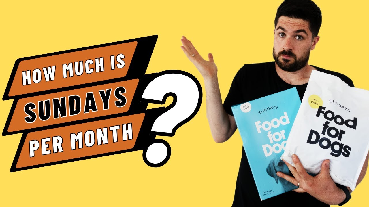 Сколько стоит воскресный корм для собак в месяц? Стоит ли тратить его по воскресеньям?