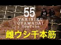 【知られざる激ウマ部位】底なしのうまさ、千本筋【YAKINIKU55】