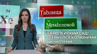 Как европейский сад все чаще оборачивается колючими джунглями для беженцев. Таблица Менделевой