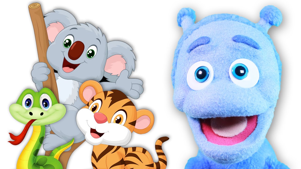 Niezwykłe sekrety dzikich zwierząt i Magiczna Kula - UBU