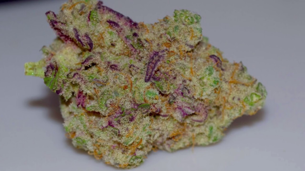 Grassroots MAC- Cannacentric Recurring Pickups Ep 1