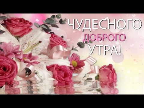 ✅Доброго чудесного утра! Позитива на весь день!✅
