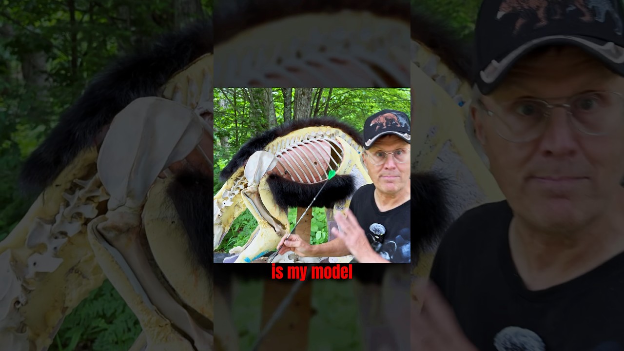 A bears body position can make or break your shot!