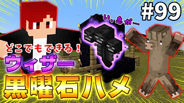 マグマの海でウィザーと決着をつけます Part269 マイクラ