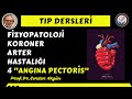 İskemik Kalp Hastalığı IV, KAH, Anginapectoris, Tıp Dersleri, Serdar Akgün
