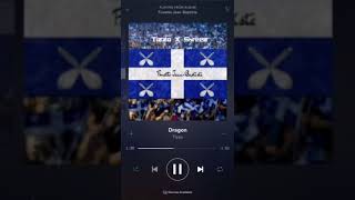 TIZZO FT SHREEZ ( SOFT )- DRAGON screenshot 2