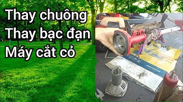Thay chuông bạc đạn máy cắt cỏThay chuông bạc đạn máy cắt cỏ, hướng dẫn sửa máy cắt cỏ