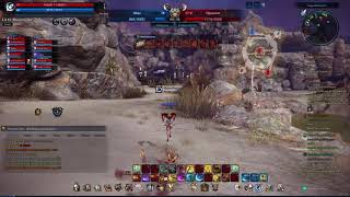 TERA bug, hack or connection issue