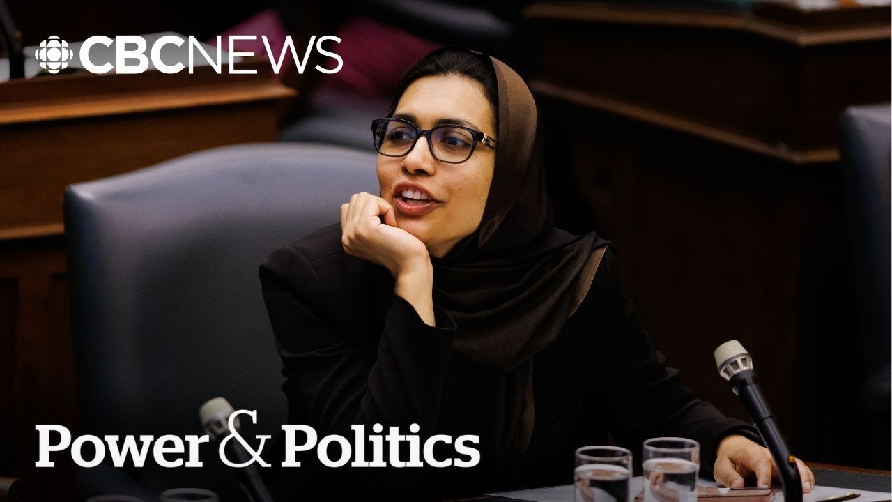 Ontario NDP deputy leader quits to run for Carney’s Liberals | Power & Politics