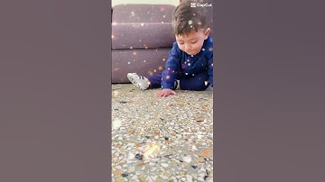 Don’t scroll without subscribing my channel ☺️