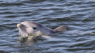 Adventure Kayaking SA