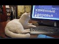 Как мы с котом искали каменные деревья , а Майка ловила лису.