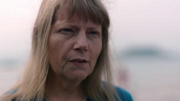 A window into the world of seaweeds | Natural History Museum