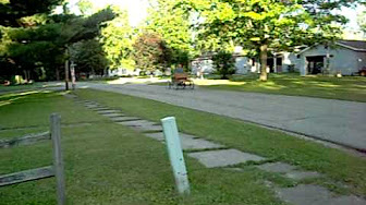 Brass era cars and horseless carriage replicas - YouTube