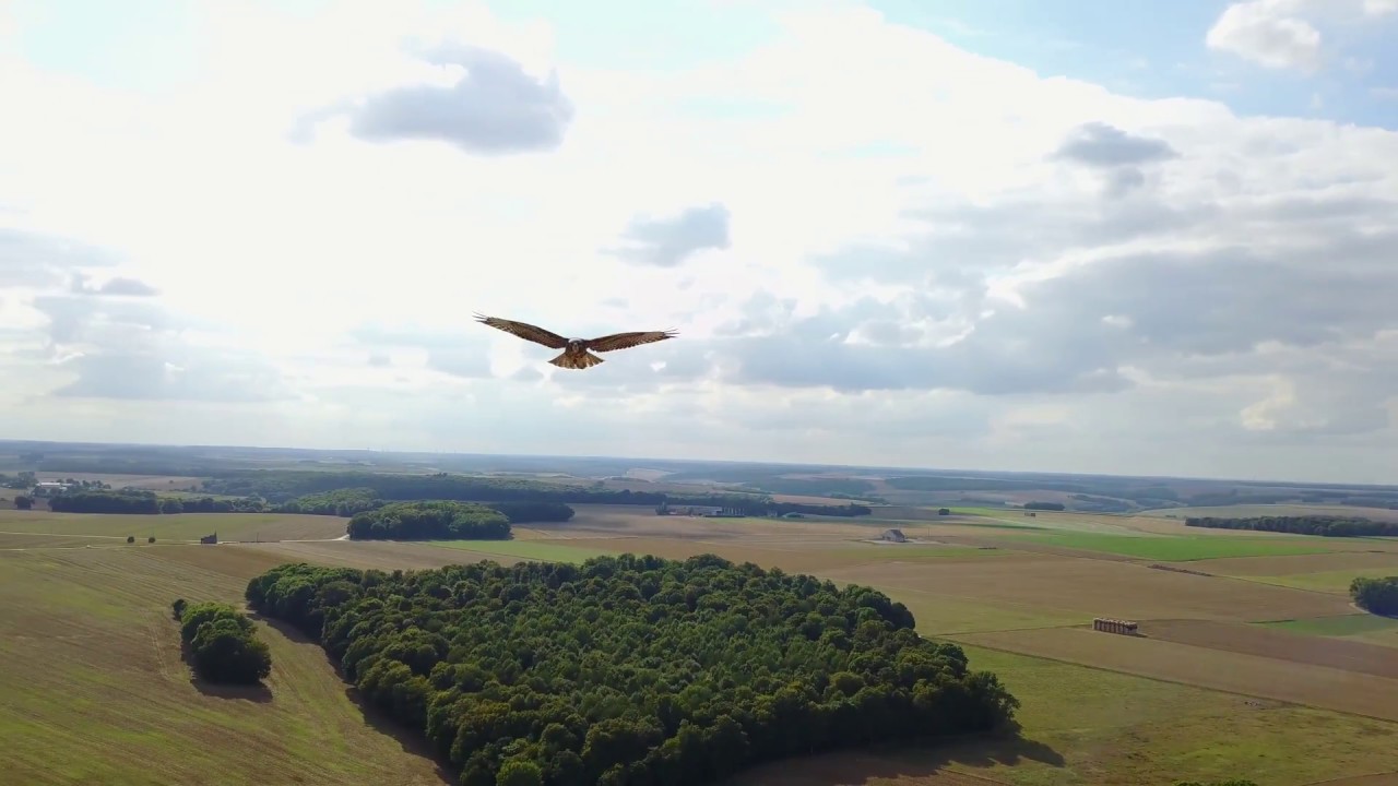 Rencontres aeriennes