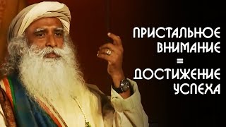 Ваш путь достижения успеха в жизни - пристальное внимание - Садхгуру на Русском