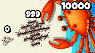 :  ܨ  ,  ! | Ants Vs Crabs Epic Battle 3D