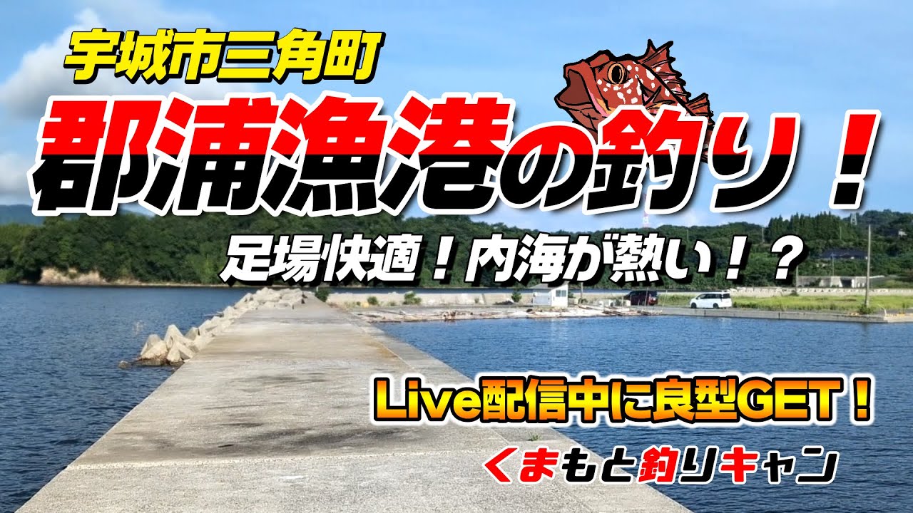 【宇城市三角町の郡浦漁港の五目釣り】三角町の足場が快適な隠れ漁港で何が釣れるのか調査釣行！五目釣りをLive配信してたらちょい投げで良型GET！#熊本釣り #三角町 #チヌ釣り
