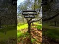🌿 Ege de doğayla iç içe özel bir fırsat…