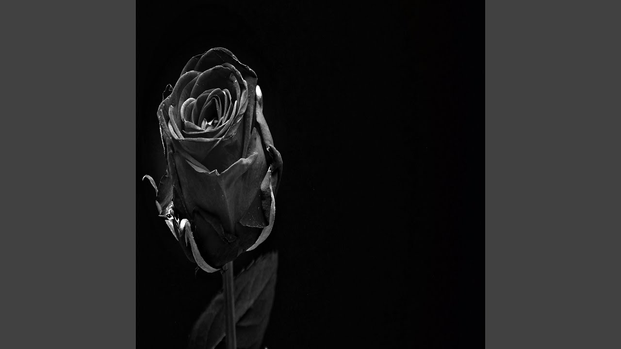 Watch BLACK FLOWER on YouTube Watch BLACK FLOWER on YouTube