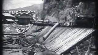 Insular Lumber Company in Fabrica, Sagay